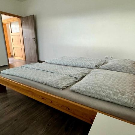 Apartman Lilly Borovany  エクステリア 写真