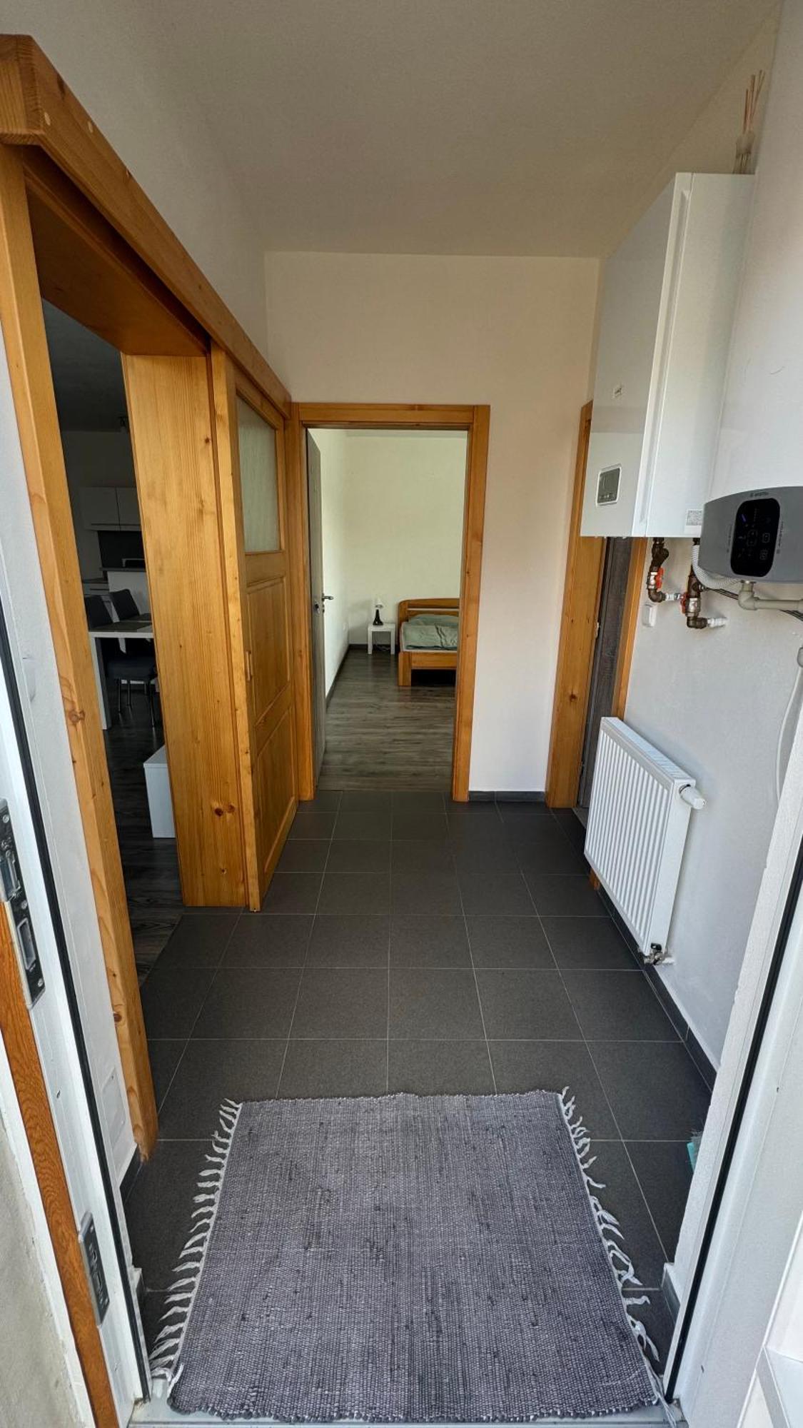 Apartman Lilly Borovany  エクステリア 写真