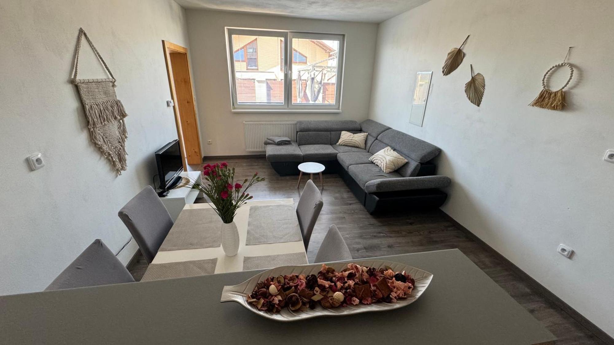 Apartman Lilly Borovany  エクステリア 写真